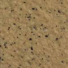 A-8816.jpg
